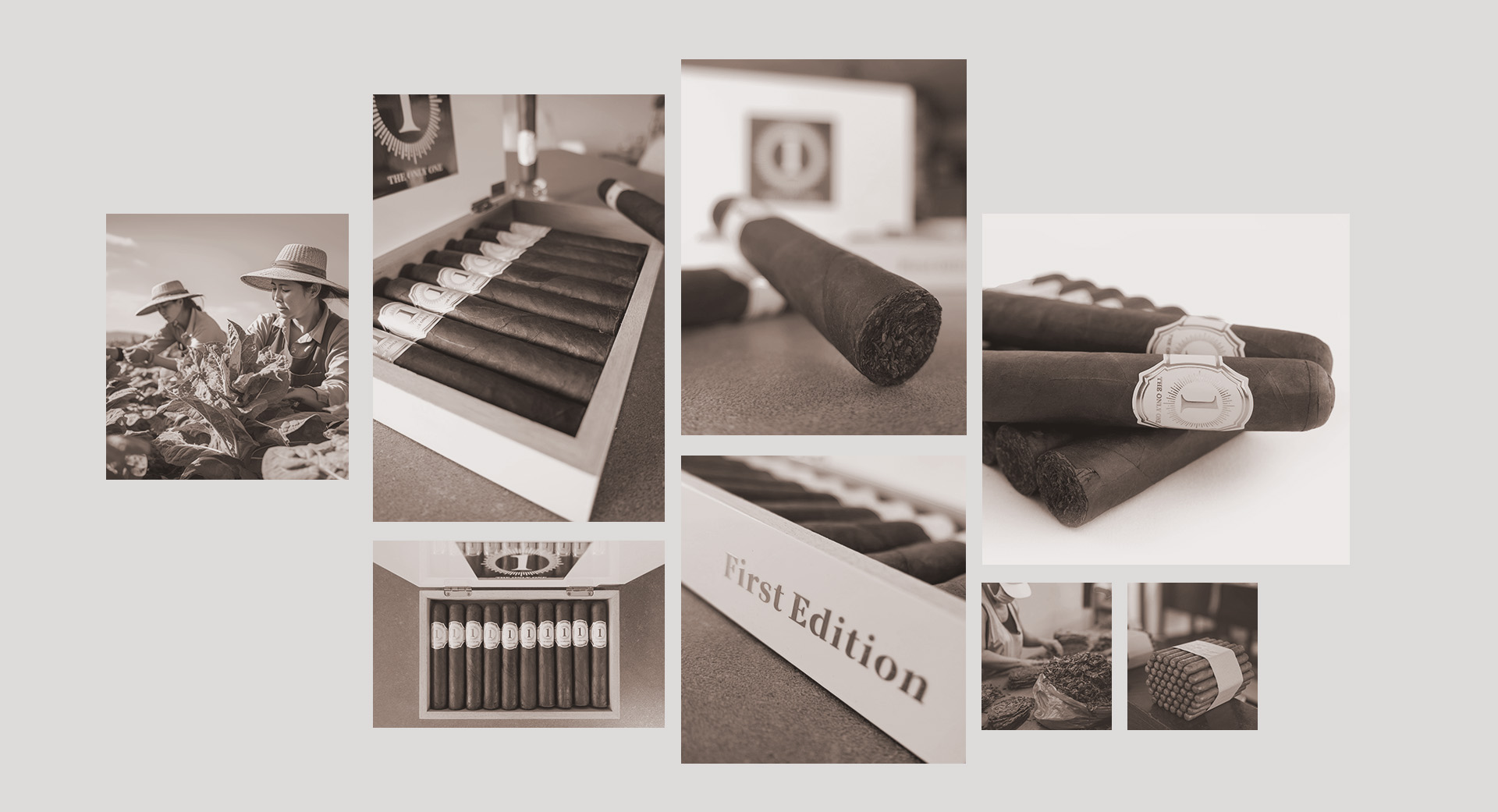composition onlyonecigars fabrication cigares de luxe